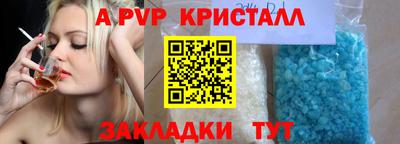 a pvp Кингисепп