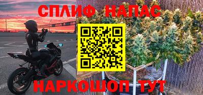 гидра Кинель