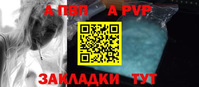 a pvp Кингисепп