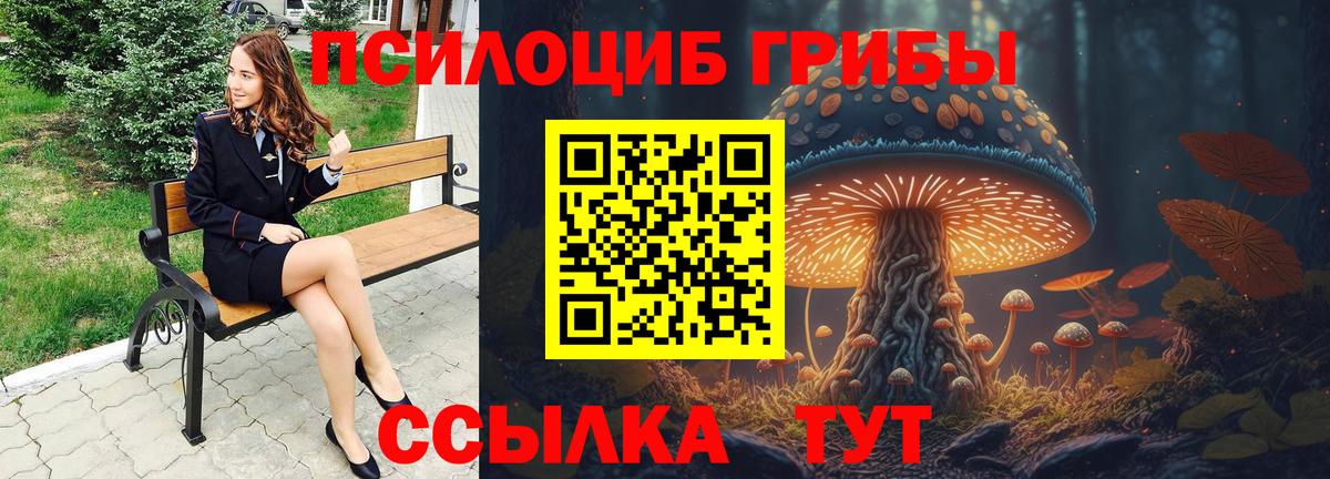 где продают наркотики  Псилоцибиновые грибы GOLDEN TEACHER  Вход с VPN  Коммунар 